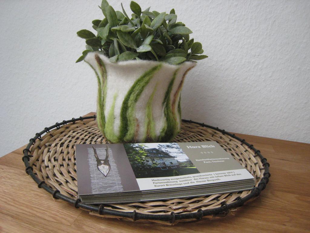 Harz Blick Apartment Braunlage