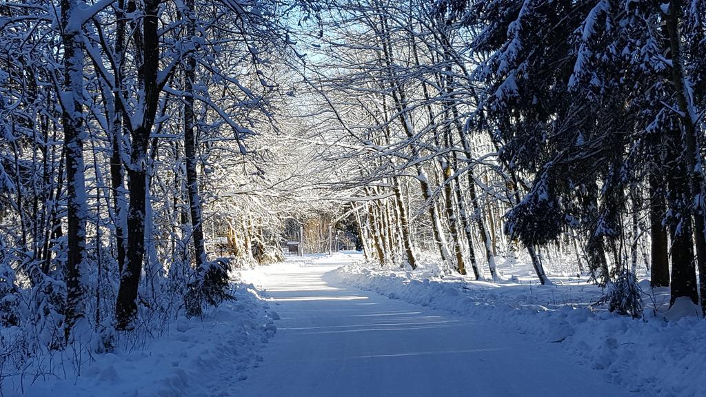 Lejlighed Harz Blick *