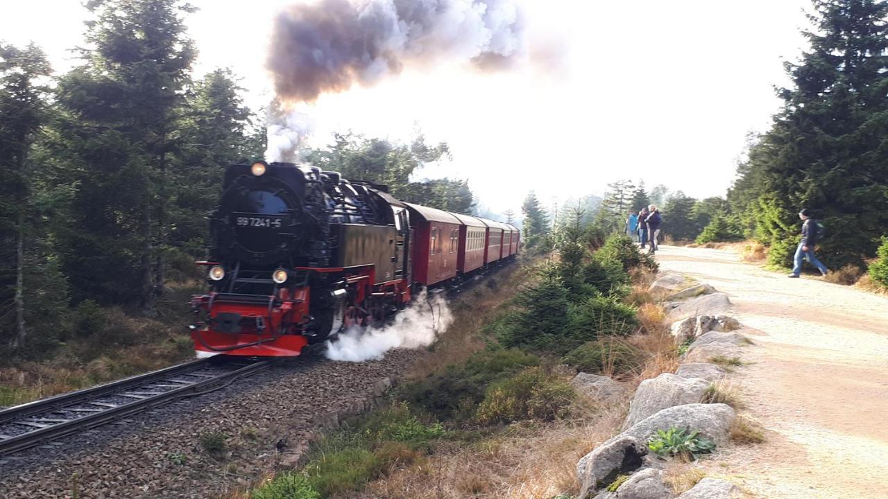 Harz Blick