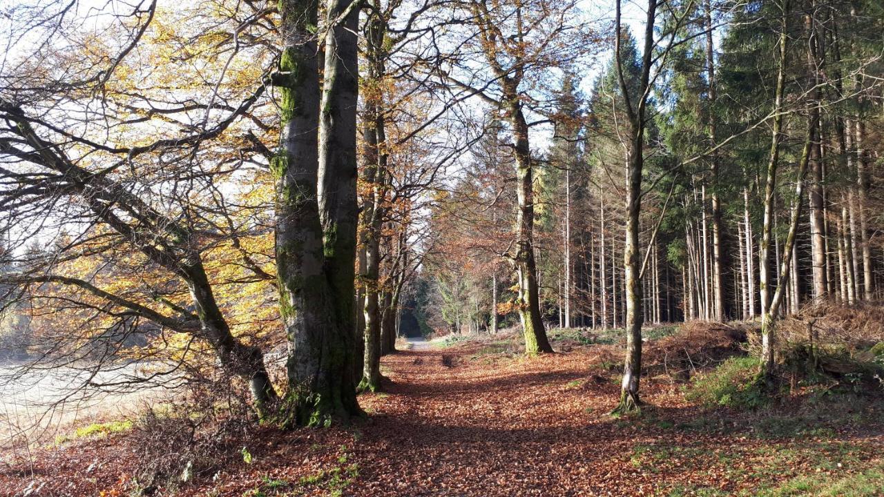 Harz Blick * Braunlage